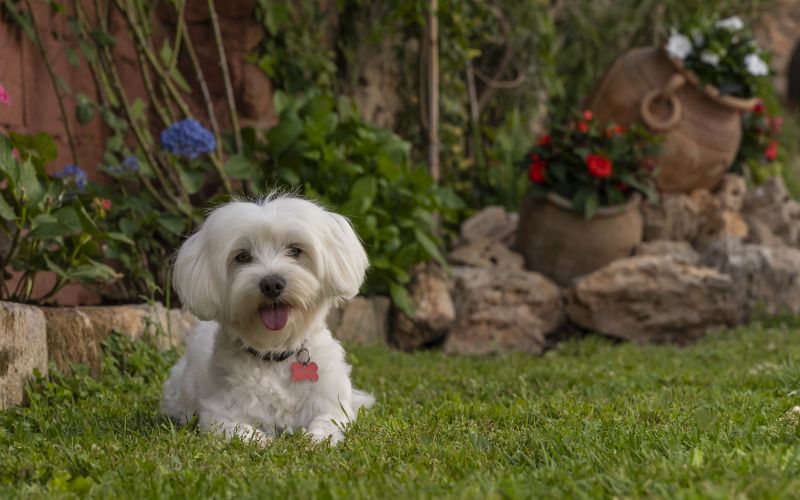 Alojamiento Casa Rural en San Agustín - Teruel